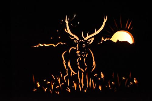 a deer in the grass with the moon in the background at PENZION U MEDVĚDA in Frýdek-Místek