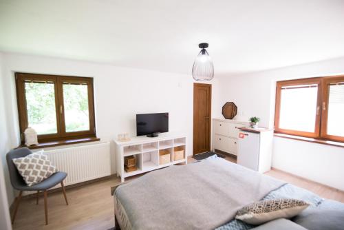 Μια τηλεόραση ή/και κέντρο ψυχαγωγίας στο Apartmán Albert v Spa dedinke