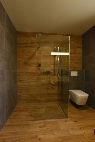a bathroom with a shower with a toilet and a sink at PENZION U MEDVĚDA in Frýdek-Místek