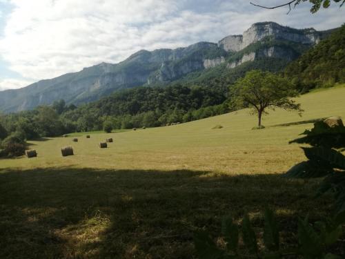un campo con fardos de heno en un campo con montañas en L'Echevine en vercors en Échevis