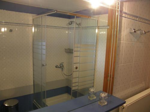 een badkamer met een douche en een glazen deur bij Orfeas -Vacation Home in Paralia Panteleimonos