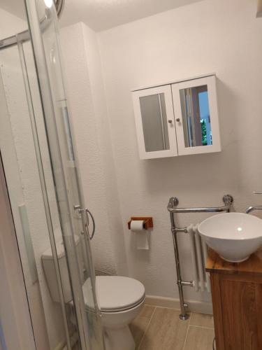 a bathroom with a toilet and a sink at Tregenver Lodge in Falmouth