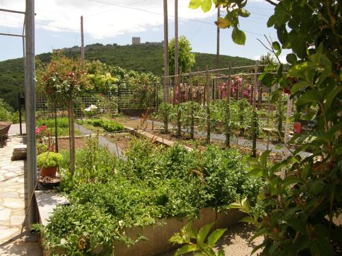 Taman di luar Orfeas -Vacation Home