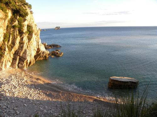 Gallery image of Apartments Almaja Villa in Petrovac na Moru
