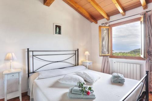 een slaapkamer met een groot bed en een raam bij C'era una volta in Capoliveri