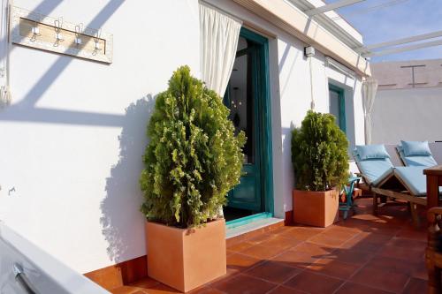 two potted trees sitting on a patio at Hostal Boutique Olvido 22 Adults Only in Peñíscola