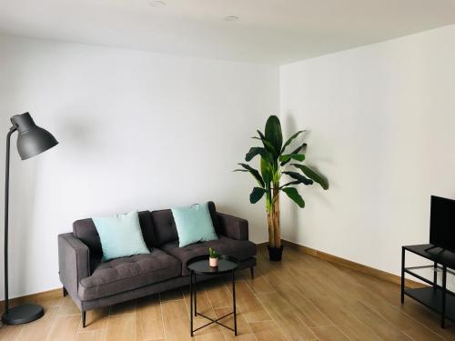 a living room with a couch and a potted plant at Aiguaneu El Celler in Blanes