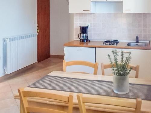 Kuchyňa alebo kuchynka v ubytovaní Apartment Jasen by Interhome