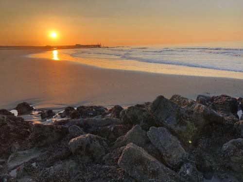Billede fra billedgalleriet på Haerendycke Park i De Haan