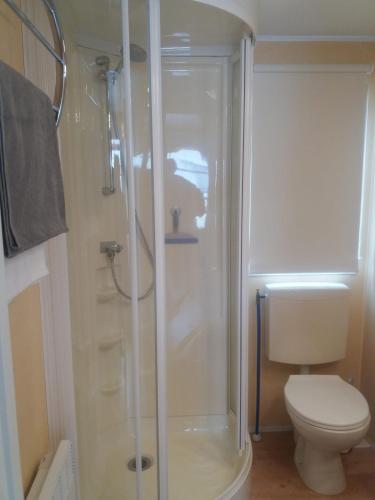 a bathroom with a shower and a toilet at Haerendycke Park in De Haan