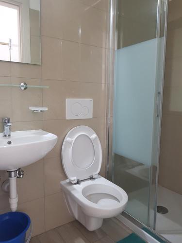 een badkamer met een toilet, een wastafel en een douche bij Bellinzona Rooms in Bellinzona