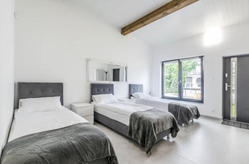 two beds in a room with white walls and windows at Bema Rooms in Łódź