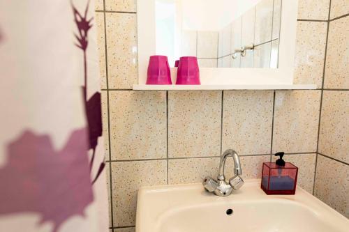 a bathroom with a sink and a mirror and pink objects at Hofstede Villetta in Zonnemaire