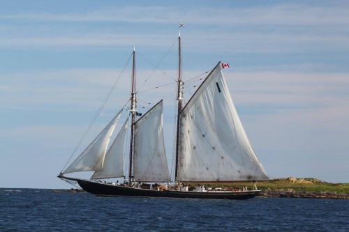 
a large sailboat sailing on a large body of water at Point of View Suites in Louisbourg
