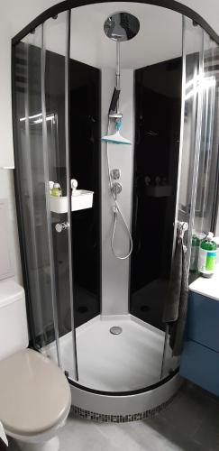 een glazen douche in een badkamer met een toilet bij Appartement 2 min à pied de la mer et du centre ville in Saint-Georges-de-Didonne