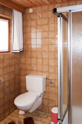 a bathroom with a toilet and a shower at Apartment Garni Regina-1 by Interhome in Kappl
