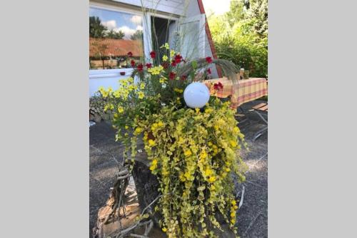 a garden with flowers in front of a house at Matilda II - lovely Matilda in Wesenberg