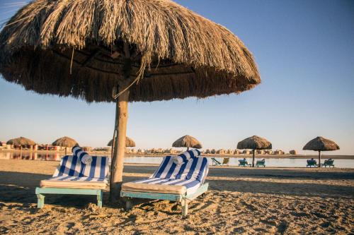 two chairs under an umbrella on the beach at Green Sudr Resort in Ras Sedr