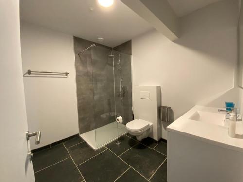 La salle de bains est pourvue d'une douche, de toilettes et d'un lavabo. dans l'établissement Handbooghoeve Leffinge, à Leffinge