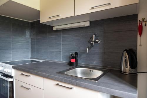 a kitchen with a stainless steel sink and black tiles at Apartmán Fraise in Děčín