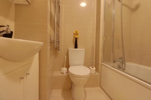 a bathroom with a toilet and a shower and a sink at Luxury Studio Apartment in Northolt
