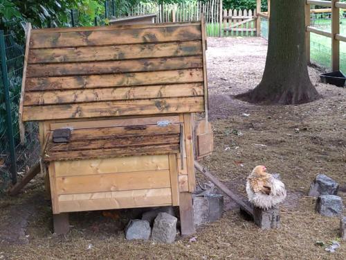 a dog is standing next to a wooden dog house at The Two Oaks - Private garden for guests in Hertsberge