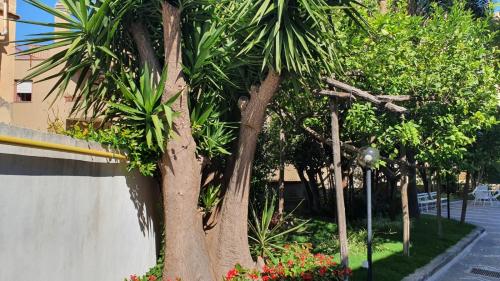 a palm tree next to a building with flowers at Maria Maddalena Holiday House in Vico Equense