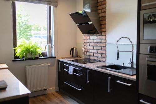 Η κουζίνα ή μικρή κουζίνα στο Apartament nad jeziorem Drwęckim Oaza