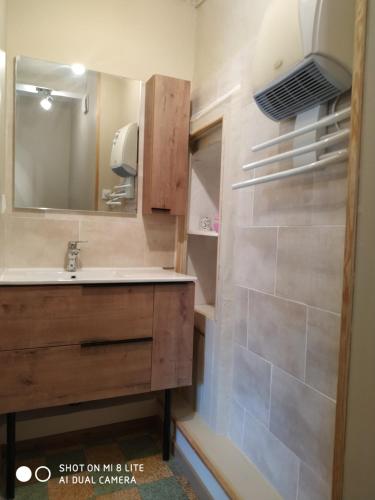 une salle de bain avec un lavabo et un miroir dans l'établissement La ferme Ranc - gite le cosy, à Gagnières