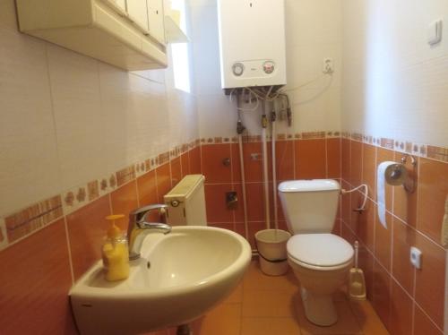 Baño pequeño con aseo y lavamanos en gemuetliche unterkunft bei prag en Smečno