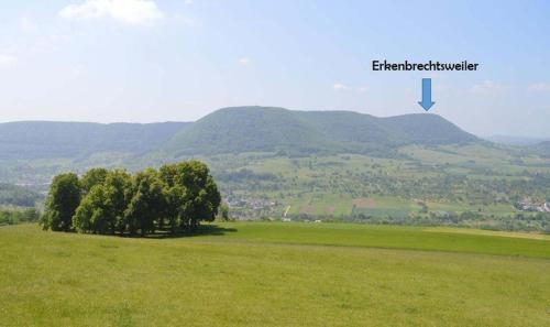 un groupe d'arbres dans un champ avec des montagnes en arrière-plan dans l'établissement Ferienwohnung Alb-Traum, à Erkenbrechtsweiler