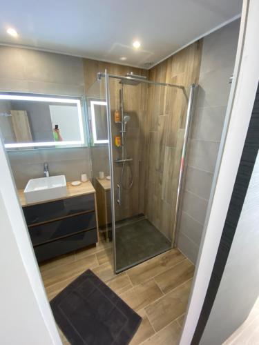 W łazience znajduje się prysznic i umywalka. w obiekcie MAISON NEUVE PORTO VECCHIO w mieście Porto-Vecchio