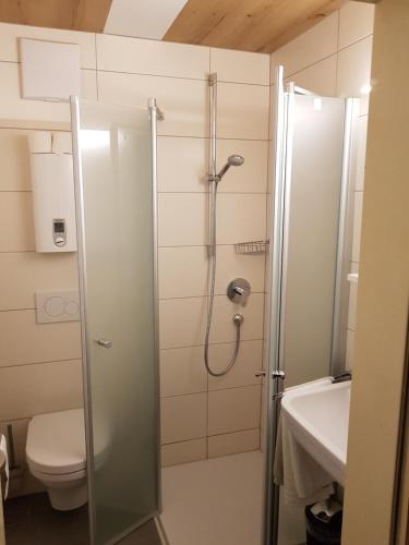 a bathroom with a shower with a toilet and a sink at Hotel Restaurant Hirsch in Schmiechen