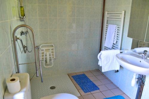 a bathroom with a shower and a sink and a toilet at Gite Le Masgiral in Saint-Christophe