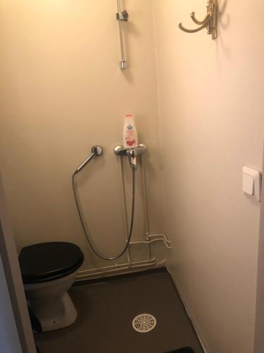 La salle de bains est pourvue d'une douche et de toilettes. dans l'établissement Niuron mökit, à Ylitornio