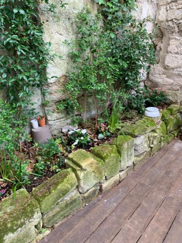a stone wall with plants on it next to a walkway at T2 centre ville avec extérieur in Avignon