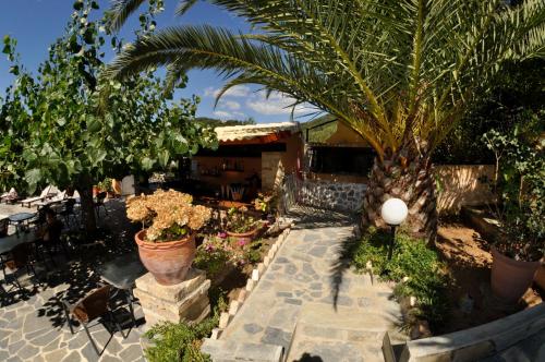 a patio with potted plants and a palm tree at Dina's Paradise in Agios Gordios