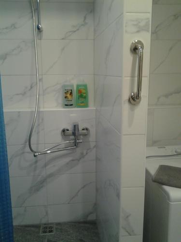 uma casa de banho com um chuveiro e uma porta de vidro em Lori Apartment em Narva