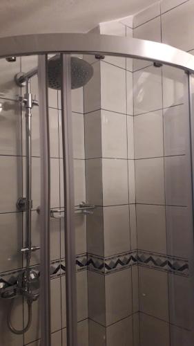 a shower with a glass door in a bathroom at Apartment Josip in Korčula