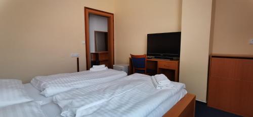 a hotel room with two beds and a television at HOTEL SVRATKA in Svratka