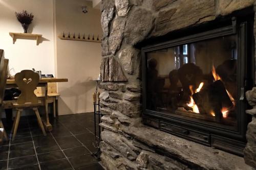 a fireplace in a living room with a fire in it at Hotel Alba in Deštné v Orlických horách