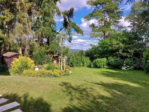 a garden with a lawn with trees and bushes at Schöne Maid in Boppard