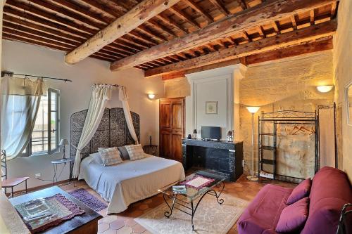 Montaren-et-Saint-MédiersにあるBastide de la Treilleのリビングルーム(ベッド1台、暖炉付)
