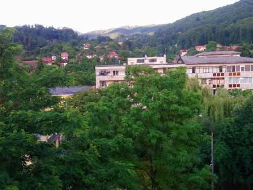 a group of trees in front of a building at Apartament Relax in Sovata