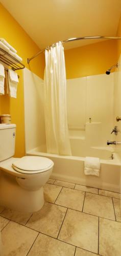 a bathroom with a toilet and a tub and a sink at Olympic View Inn in Sequim
