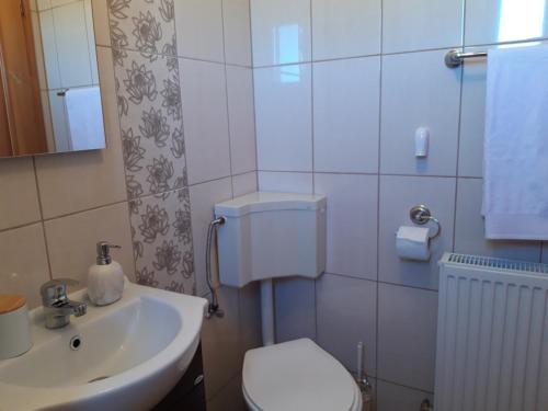 a bathroom with a white toilet and a sink at CABANA DORULUI in Tău Bistra