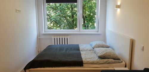 um quarto com uma cama em frente a uma janela em City apartment Anykščiai em Anykščiai