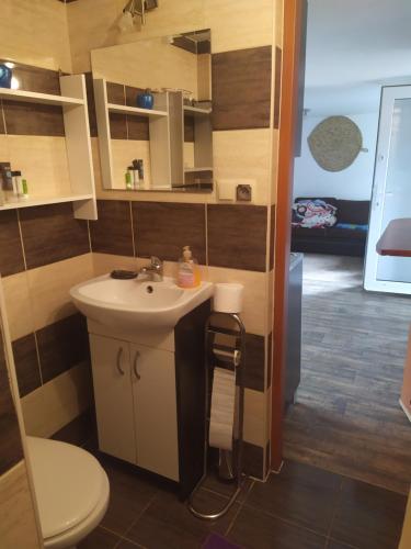 ein kleines Bad mit einem Waschbecken und einem WC in der Unterkunft Agrowczasy u Bartka in Wielki Klińcz