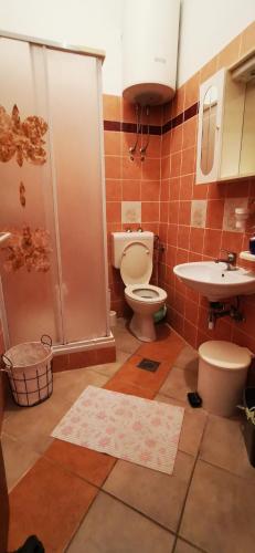 a bathroom with a shower and a toilet and a sink at Apartmani Marija in Kolan