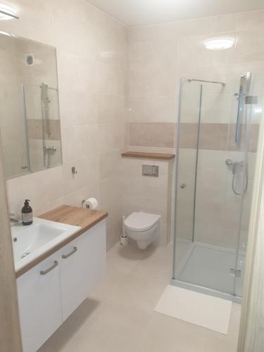 a white bathroom with a shower and a toilet at Willa Mazury in Iława